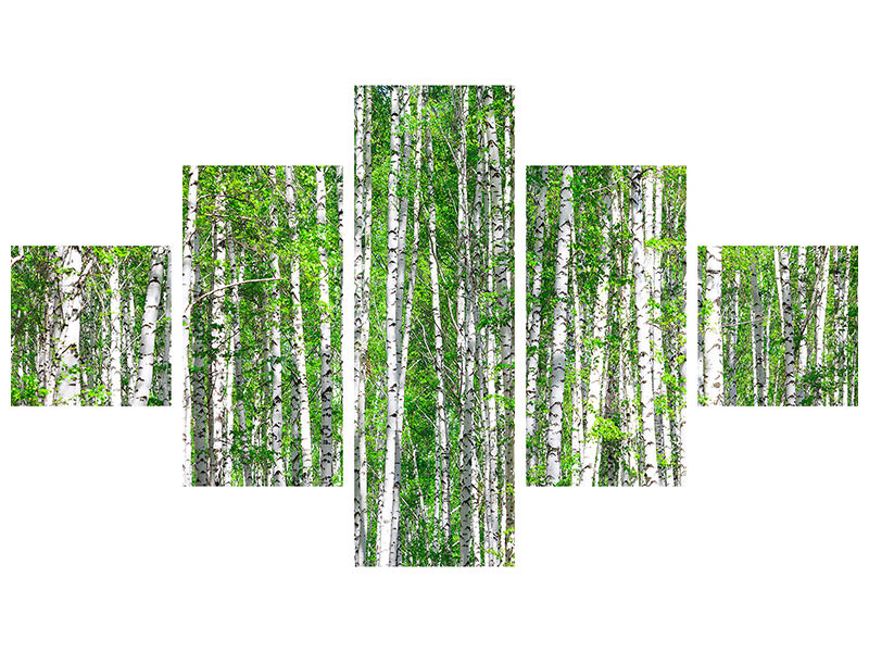 5-piece-canvas-print-the-birch-forest