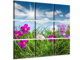 9-piece-canvas-print-flowering-meadow