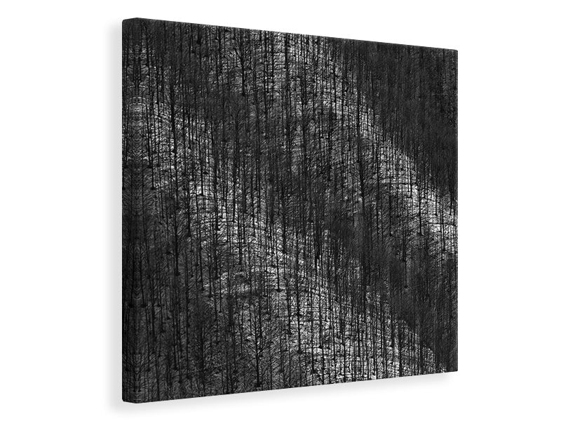 canvas-print-luci-e-ombre