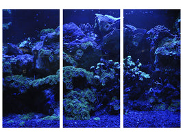 3-piece-canvas-print-coral-reef-in-blue