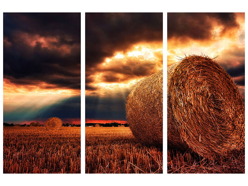 3-piece-canvas-print-mystic-landscape