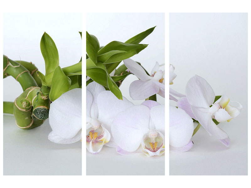 3-piece-canvas-print-orchid-and-bamboo