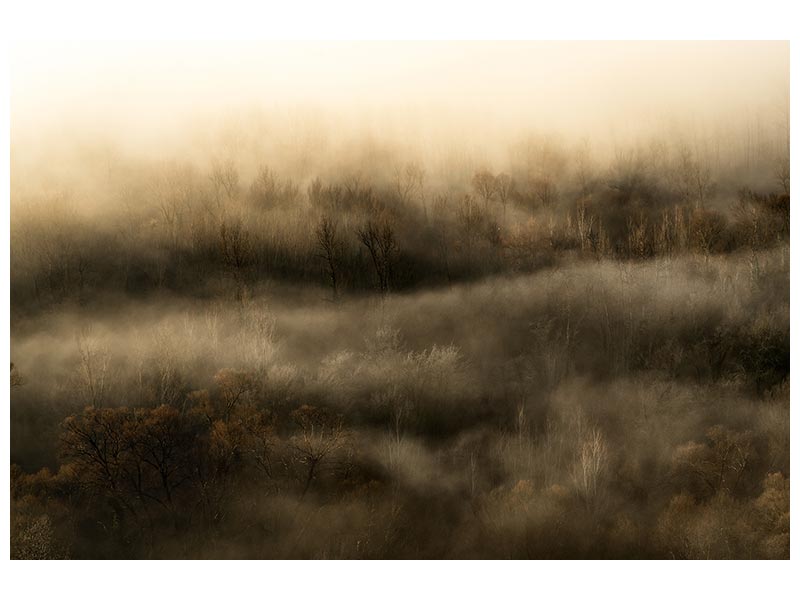 canvas-print-untitled-xft