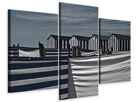 modern-3-piece-canvas-print-territorial-behavior