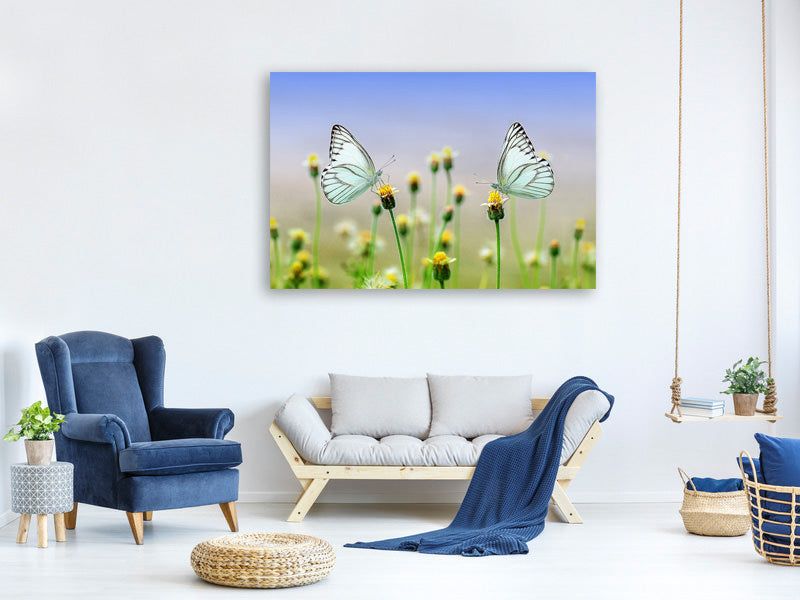 3-piece-canvas-print-2-butterflies