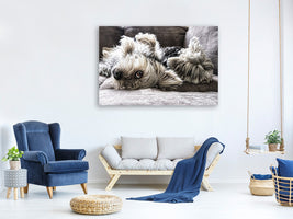 3-piece-canvas-print-2-cute-dogs