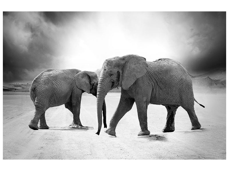 3-piece-canvas-print-2-elephants-sw