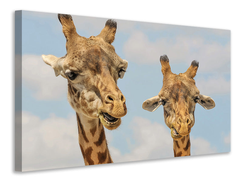 3-piece-canvas-print-2-giraffes