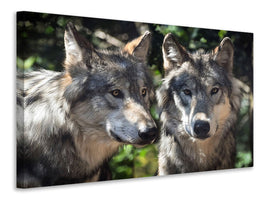 3-piece-canvas-print-2-wolves
