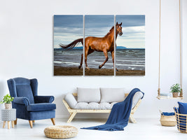 3-piece-canvas-print-a-thoroughbred-at-the-sea