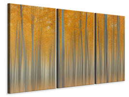 3-piece-canvas-print-autumn-delight-ii