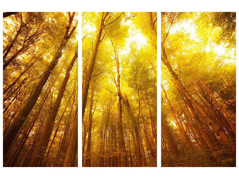 3-piece-canvas-print-autumn-forest