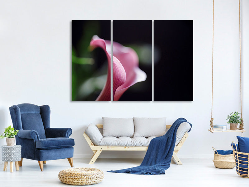 3-piece-canvas-print-calla-in-purple