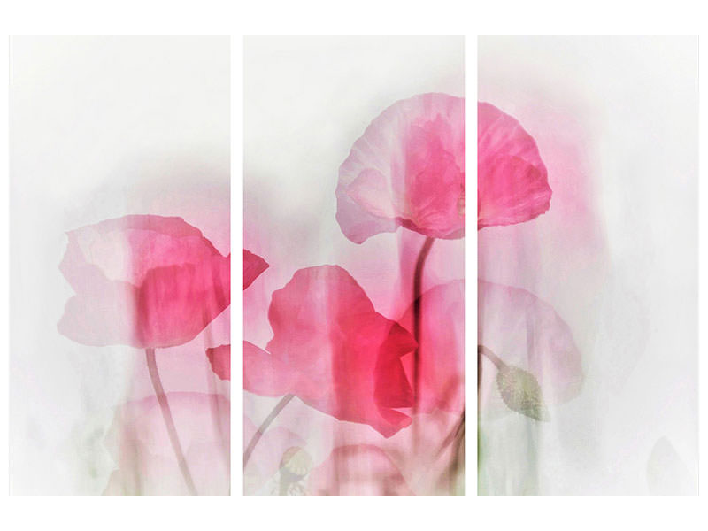 3-piece-canvas-print-flowers