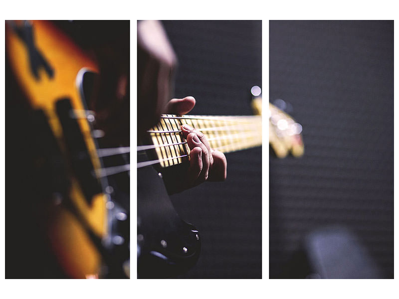 3-piece-canvas-print-guitar-player