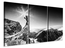 3-piece-canvas-print-life-at-the-top