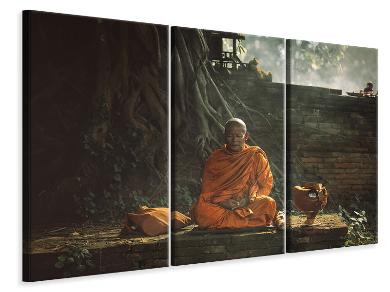 3-piece-canvas-print-no-xvii