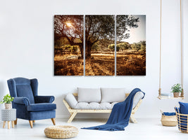 3-piece-canvas-print-olive-grove