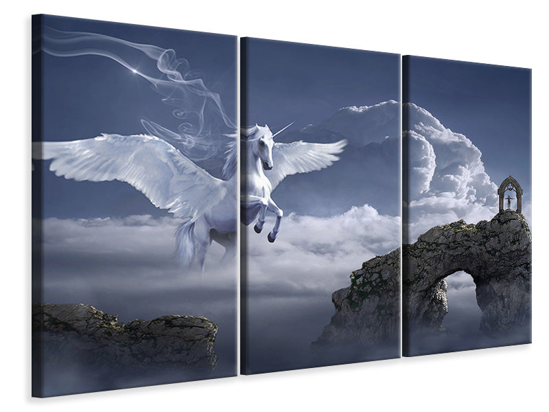 3-piece-canvas-print-pegasus