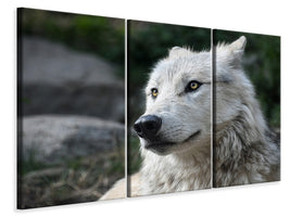 3-piece-canvas-print-the-lonely-wolf