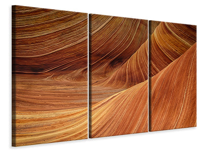 3-piece-canvas-print-the-movement