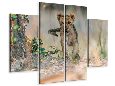 4-piece-canvas-print-cub-south-luangwa