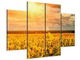 4-piece-canvas-print-golden-light-sunflower