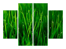 4-piece-canvas-print-grass-with-morning-dew