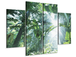 4-piece-canvas-print-jungle-star