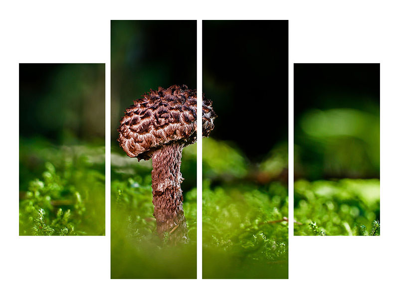 4-piece-canvas-print-strobilomyces-strobilaceus