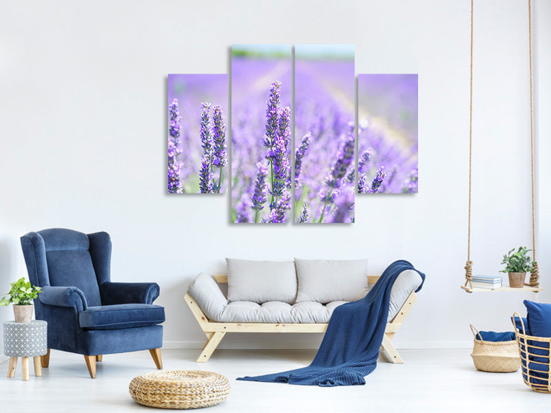 4-piece-canvas-print-the-lavender-blossom