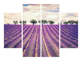 4-piece-canvas-print-the-lavender-field-ii