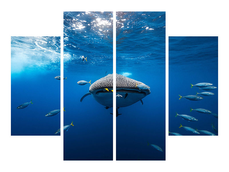 4-piece-canvas-print-whale-shark-escorted-by-a-school-of-bonito