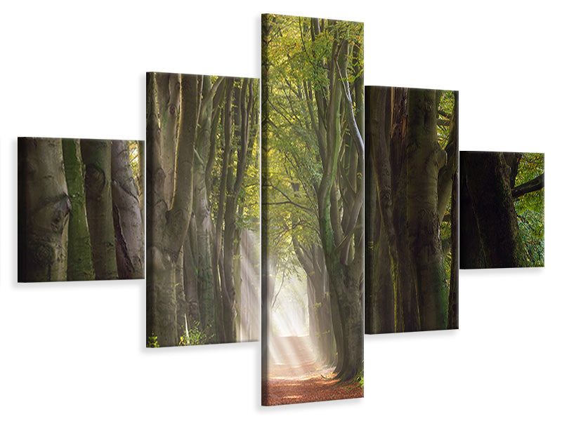 5-piece-canvas-print-a-glorious-day