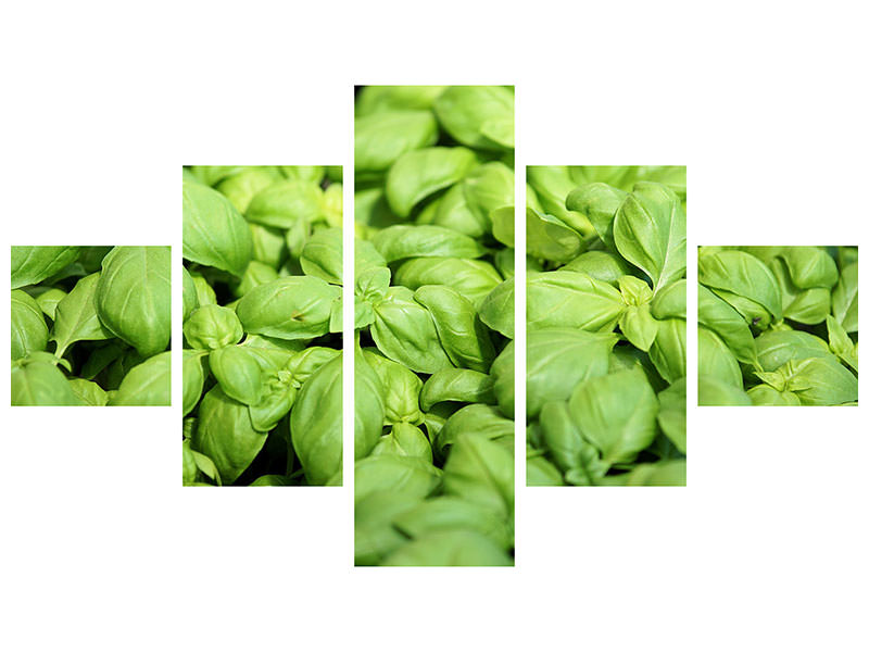 5-piece-canvas-print-all-basil