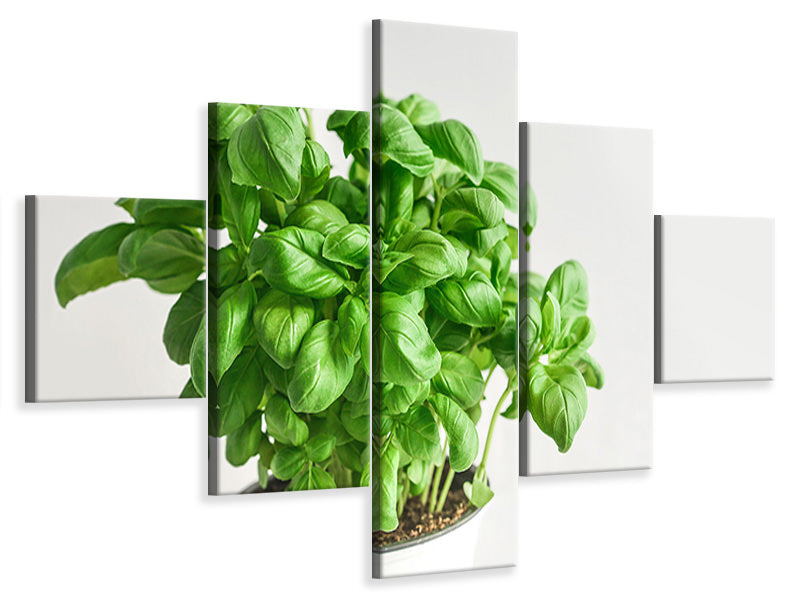 5-piece-canvas-print-basil-in-the-pot