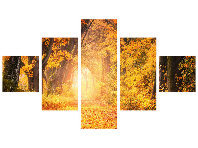 5-piece-canvas-print-colors-magnificent-forest