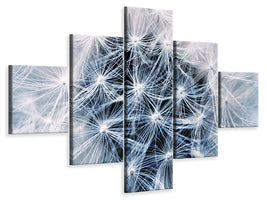 5-piece-canvas-print-ripe-dandelion-close-up