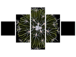 5-piece-canvas-print-stenocactus