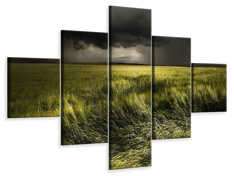 5-piece-canvas-print-summer-weather