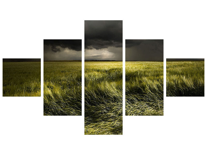 5-piece-canvas-print-summer-weather