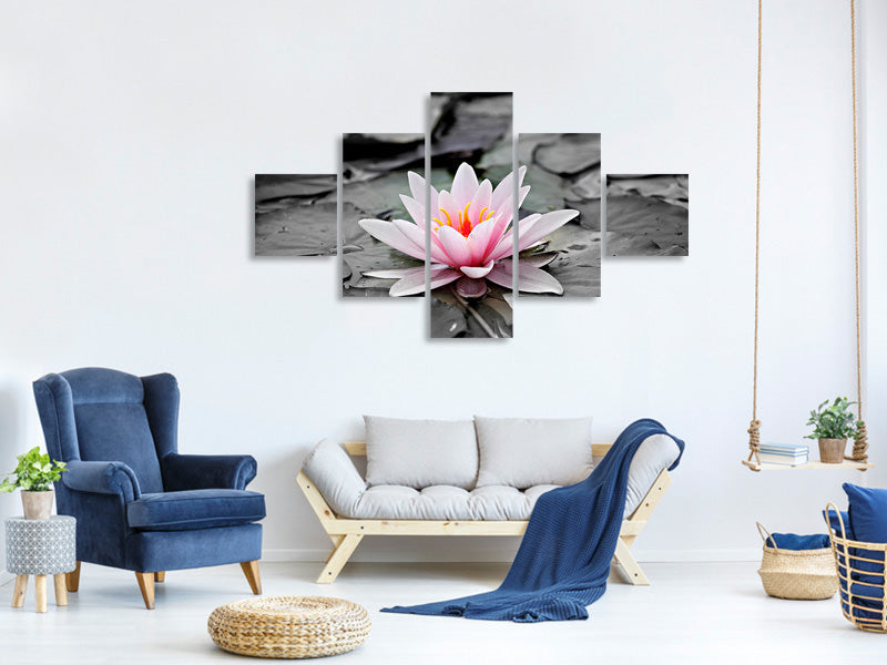 5-piece-canvas-print-the-art-of-water-lily