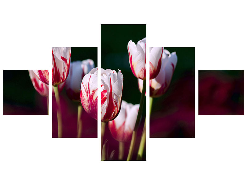 5-piece-canvas-print-the-beauty-of-the-tulips