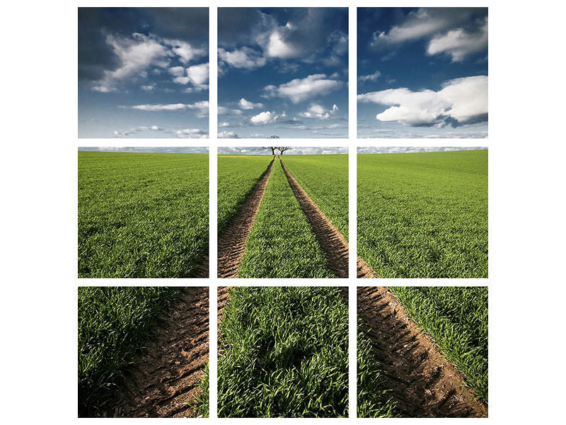 9-piece-canvas-print-trace-trees