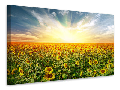 4-piece-canvas-print-a-field-full-of-sunflowers