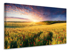 modern-4-piece-canvas-print-a-flower-field-at-sunrise