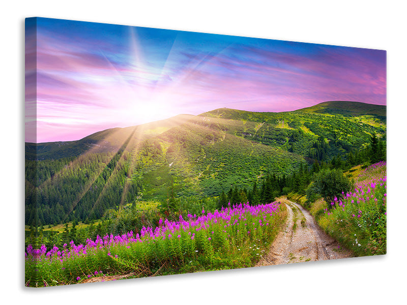 panoramic-3-piece-canvas-print-a-summer-landscape-at-sunrise