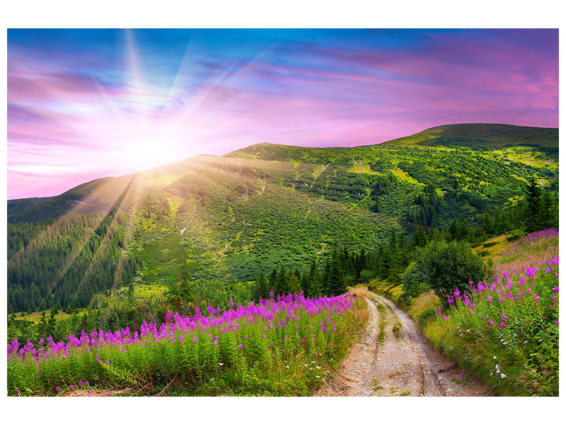 4-piece-canvas-print-a-summer-landscape-at-sunrise
