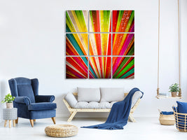 canvas-print-abstract-colored-light-rays