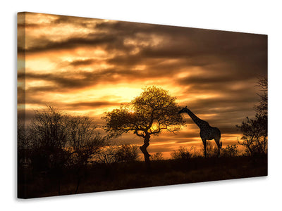 modern-4-piece-canvas-print-african-dreams
